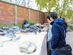 Auch die Pflege der Tiere stand im Fokus. Auch die Pflege der Tiere stand im Fokus.